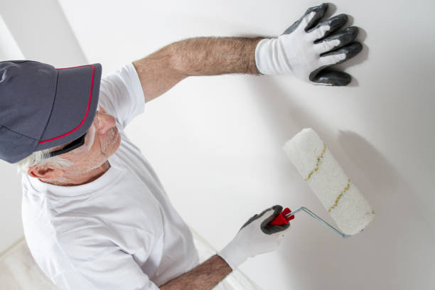 Best Industrial Mold Remediation  in Princeton Junction, NJ