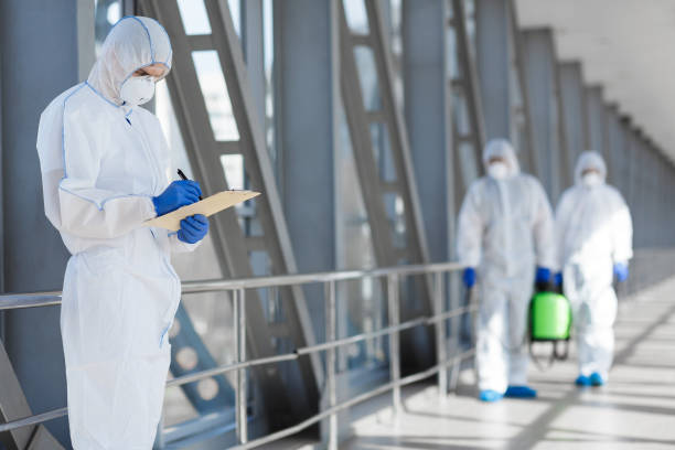 Best Mold Prevention Services  in Princeton Junction, NJ