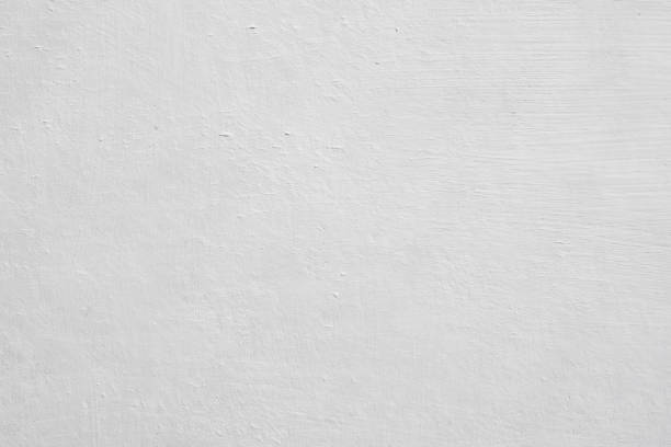Best Emergency Mold Remediation  in Princeton Junction, NJ