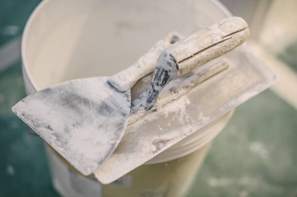 Best Mold-Related Health Consultation  in Princeton Junction, NJ